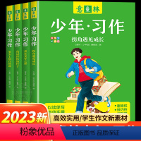 [全4册]意林少年习作 [正版]全套4册 意林高票好文20周年纪念书意林中考作文2023初中生高中范文精选美文意林杂志中