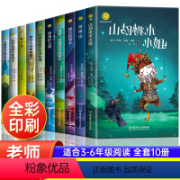 纽伯瑞儿童文学奖作品 [正版]纽伯瑞国际儿童文学金奖小说系列全套10册中小学生三四五六年级老师课外书必读经典读物儿童文学