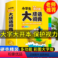 [正版]2024年小学生大成语词典小学多功能大全四字彩图彩色版解释书中华现代汉语词语工具书中小学字典儿童训练大字典版