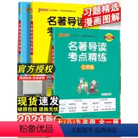 中考版名著导读考点精练 九年级/初中三年级 [正版]2024初中名著导读考点精练七八九年级必读名著阅读理解中考课外考点总