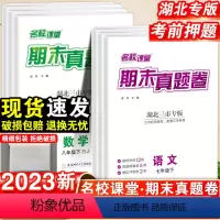 语文.期末真题卷[人教版] 七年级下 [正版]名校课堂期未真题卷湖北三市专版七年级八年级下册试卷精编初中全真模拟冲刺试卷