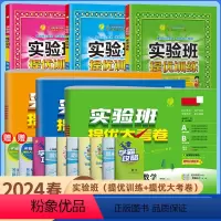 [提优训练+大考卷]语数英6本★江苏专版 三年级下 [正版]2024春实验班提优大考卷小学一年级实验班提优训练提优大试卷