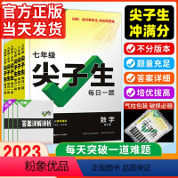 [数学]尖子生 1本 九年级 [正版]2023万唯中考尖子生每日一题七八九年级数学物理化学专题培优训练初中拔高题库初一二