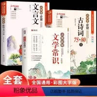[全套3册]小学生必背文学常识+文言文+古诗词 小学通用 [正版]小学生必背文学常识大全彩图版小学文学常识积累大全 百科