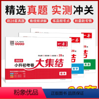 [考卷大集结]3本语文+数学+英语(含毕业卷+招生卷+分班卷) 小学升初中 [正版]2023小升初冲刺新卷真题卷语文数学