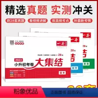 [考卷大集结]3本语文+数学+英语(含毕业卷+招生卷+分班卷) 小学升初中 [正版]2023小升初冲刺新卷真题卷语文数学