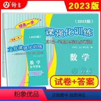 2023高考一模 数学 试卷+答案 上海 [正版]2023版领先一步高考一模卷 数学 文化课强化训练 高考一模卷数学试卷