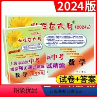 [正版]2024版 灿烂在六月 中考数学+参考答案 上海市新中考模拟强化测试精编 初一初二初三年级 中考数学复习测试中