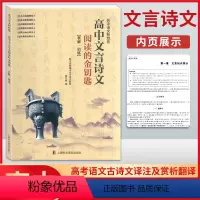 高中文言诗文阅读的金钥匙 共2册(含详解答案) [正版]高中文言诗文阅读的金钥匙 表解 训练 高中语文新趋势 高一高二高