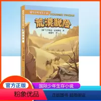 国际少年生存小说-荒漠脱险 [正版]国际少年生存小说荒漠脱险自然探险小说fb诺贝尔文学奖获得者亨里克显克维奇永不言弃生存