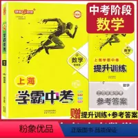 数学 上海 [正版] 钟书金牌 学霸中考总复习 数学 上海大学出版社 初中数学总复习与训练用书参考资料 冲刺中考复习强化