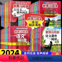 [2本]语文课外阅读训练AB版 小学五年级 [正版]2024新版新黑马阅读1-6年级 现代文课外阅读 英语阅读训练 古诗