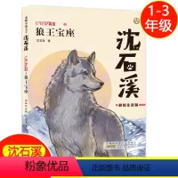 狼王宝座 [正版]狼王宝座 沈石溪动物小说 彩绘注音版fb一年级课外书二年级儿童文学图书小学生三年级课外阅读书籍
