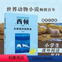 北极狐的圆舞曲 [正版]北极狐的圆舞曲 [加]西顿/ 原着fb安韶编/安徽少年儿童出版社 外国文学/动物小说