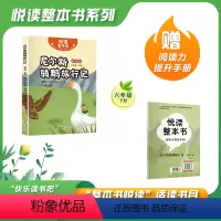尼尔斯骑鹅旅行记 [正版]悦读整本书 快乐读书吧系列六年级下册fb尼尔斯骑鹅旅行记瑞典塞尔玛拉格洛夫著语言文字优美内容丰