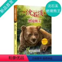 绝境熊王 [正版]沈石溪动物小说 绝境熊王fb小学生三四五六年级课外阅读书籍儿童文学读物经典书目 沈石溪的书全系列