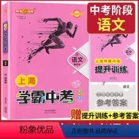 语文 上海 [正版]钟书金牌上海中考总复习 语文 学霸中考总复习 初中文言文现代文作文复习资料冲刺中考复习强化训练书籍中