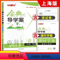 [正版]钟书金牌 金典导学案 语文 六年级下册 6年级下语文第二学期同步讲练+同步双练+同步双测(学练考三合一)中学