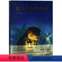 [正版]萤火谷的梦想家 精装版 美艾莉森·麦咭 长江少年儿童出版社 外国儿童文学 9787556061143