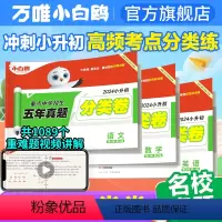 语数英⭐小升初真题[分类卷+套卷]6本套装 小学升初中 [正版]万唯星空小升初分类卷真题卷2024人教版语文数学思维训练
