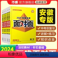 [语数英物化]5本套装 安徽省 [正版]2024面对面安徽语文数学英语物化政治历史初三总复习全套七八九年级初三中考真题辅