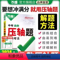压轴题[几何+函数]2本套装 初中通用 [正版]2024数学压轴题函数初中数学二次函数专题训练初三真题压轴题专项初中九年
