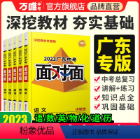 语文. 广东省 [正版]2024面对广东语文数学英语物化政治历史初三总复习全套七八九年级初三中考真题辅导书资料万维教育