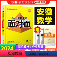 数学 安徽省 [正版]2024安徽数学面对面初三总复习全套资料七八九年级初三数学模拟题训练历年中真题卷辅导书资料万维教育