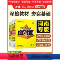 [道历地生]小四门 河南省 [正版]2024面对面河南语文数学英语物化政治历史生物地理初三总复习七八九年级初三中考真题辅