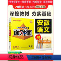 语文 安徽省 [正版]2024安徽语文面对面初三总复习全套资料七八九年级初三语文模拟题训练历年中真题卷辅导书资料万维教育