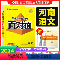 语文 河南省 [正版]2024河南语文面对面初三总复习全套资料七八九年级初三语文模拟题训练历年中真题卷辅导书资料万维教育