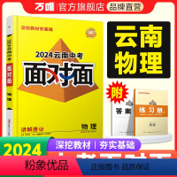 物理 云南省 [正版]2024云南物理面对面初三总复习全套资料七八九年级初三物理模拟题训练历年中真题卷辅导书资料万维教育