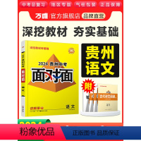 语州省 [正版]2024贵州语文面对面中考一二三轮总复习资料全套七八九年级初三语文模拟题训练历年中考真题卷辅导书练