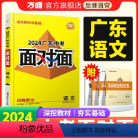 语文 广东省 [正版]2024广东语文面对面初三总复习全套资料七八九年级初三语文模拟题训练历年中真题卷辅导书资料万维教育