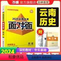 历史 云南省 [正版]2024云南历史面对面初三总复习全套资料七八九年级初三历史模拟题训练历年中真题卷辅导书资料万维教育