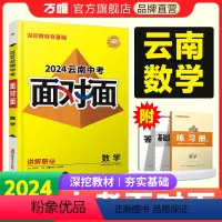 数学 云南省 [正版]2024云南数学面对面初三总复习全套资料七八九年级初三数学模拟题训练历年中真题卷辅导书资料万维教育