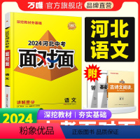 语文 河北省 [正版]2024河北语文面对面初三总复习全套资料七八九年级初三语文模拟题训练历年中真题卷辅导书资料万维教育