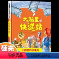 大脑里的快递站 [正版]德国精选科学图画书 大脑里的快递站 宝宝睡前故事绘本2-3-4-6周岁幼儿园大中班儿童生活好习惯