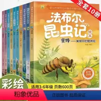 [彩绘美图]法布尔昆虫记(全10册) [正版]法布尔昆虫记全套10册原著完整版3-6-12岁小学生课外阅读一二三四五六年
