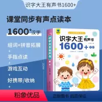 识字大王有声书1600+字词 [正版]会说话的百变拼音早教有声书 奇妙拼音训练拼读幼小衔接手指点读发声书 儿童启蒙幼儿园