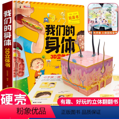 我们的身体3d立体书 [正版]我们的身体儿童3d立体书6岁以上7-8-10岁翻翻书宝宝绘本4-5岁书籍书本性教育启蒙女孩