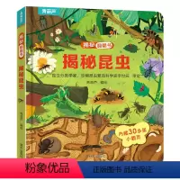 揭秘翻翻书:揭秘昆虫 [正版]揭秘翻翻立体书 揭秘昆虫 儿童3d立体书绘本0到3岁幼儿故事书1一3宝宝撕不烂翻翻书 洞洞