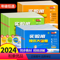 [人教版]实验班提优大考卷+实验班提优训练语文数学英语 三年级下 [正版]2024春新版实验班提优大考卷语文数学英语人教