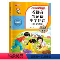 语文 二年级上 [正版]二年级上册语文同步训练专项练习册 小学生二年级课外阅读理解强化训练书看拼音写词语字词句子拼音手册