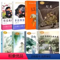 六年级推荐阅读 [正版]青山不老 你是我的妹 灯光 非法智慧 桥 盼 红闪电从百草园到三味书屋六年级课外书同步阅读书人民