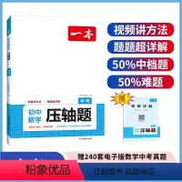 中考数学压轴题 初中通用 [正版]2024版 初中数学压轴题七八九年级数学专项训练人教版初一初二中考题型专项训练教辅资料