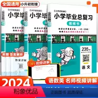 语文[235节清北学霸视频讲解课] 小学六年级 [正版]024小学毕业总复习六年级语文数学英语小学毕业复习小学基础知识盘