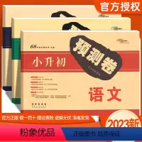 语文+数学+英语[共3本] 小学升初中 [正版]2023版 小升初押题卷语文数学英语模拟卷共3本 小学升初中教辅练习册