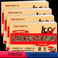 语文数学英语物理4册 八年级上 [正版]4本套装 八年级上册试卷全套语文数学英语物理 人教版 初二八年级上册单元期中期末