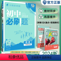 历史 八年级上 [正版]2024新版 初中八上历史 人教版RJ 初二8年级上册历史同步训练练习册模拟题试卷 理想树八年级